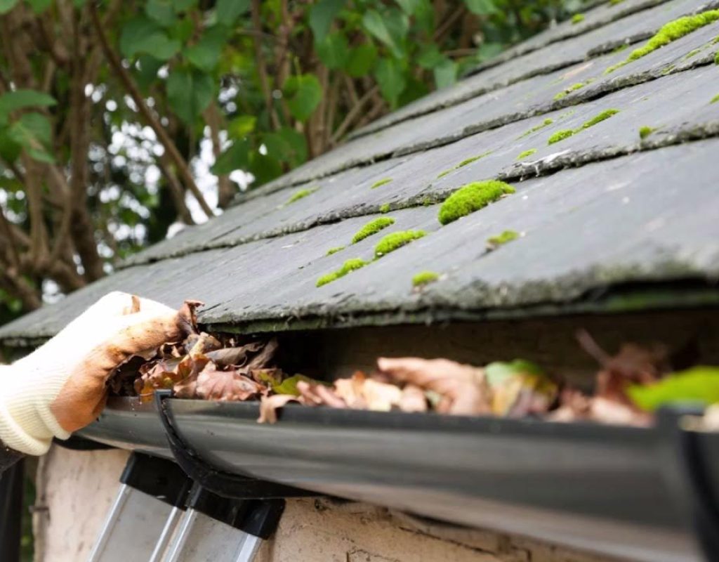 Gutter Services