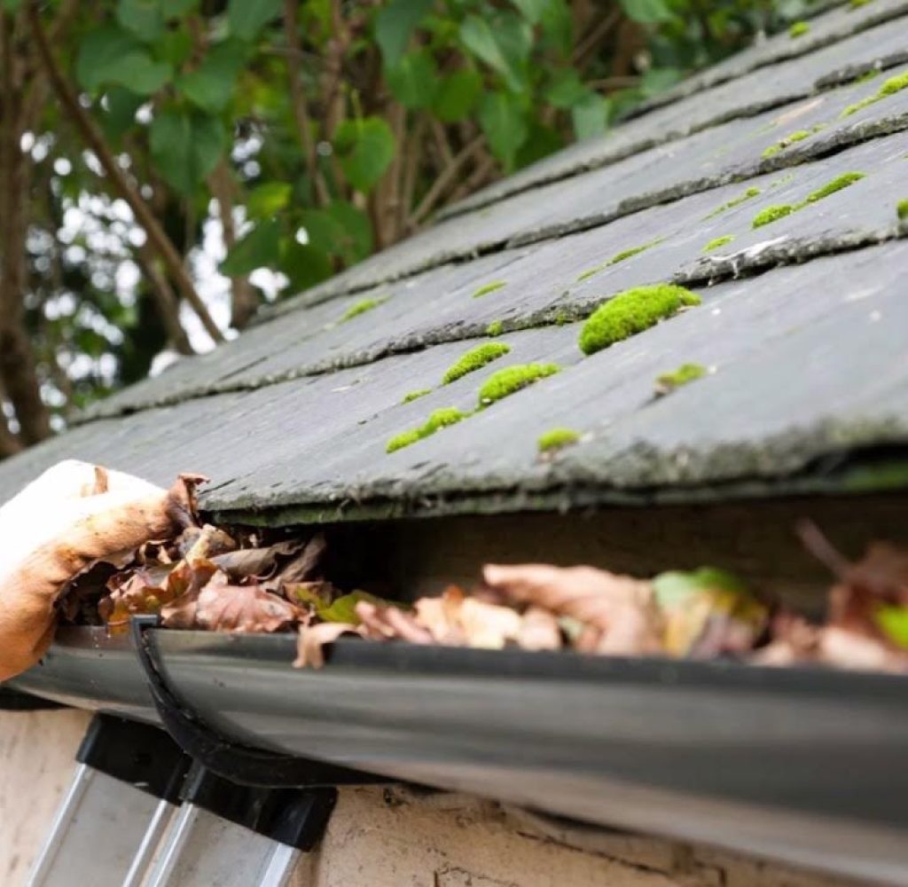 Gutter Services
